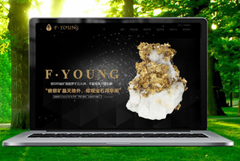 ���ֹ��ո������ﱦʯ